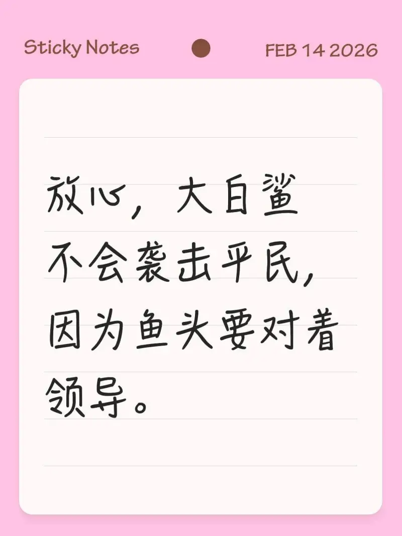 StickyNotesFEB142026放心，大白鲨不会袭击