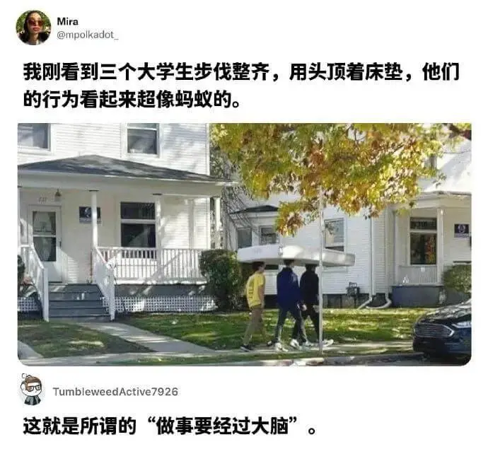 Mira@mpolkadot我刚看到三个大学生步伐整齐，用头