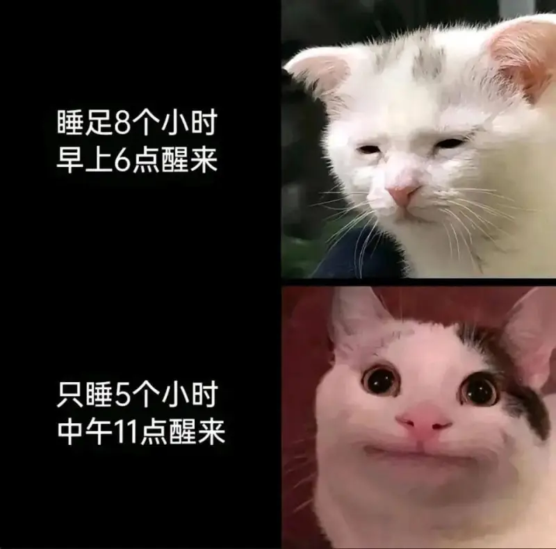 睡足8个小时，早上6点醒来；只睡5个小时，中午11点醒来。