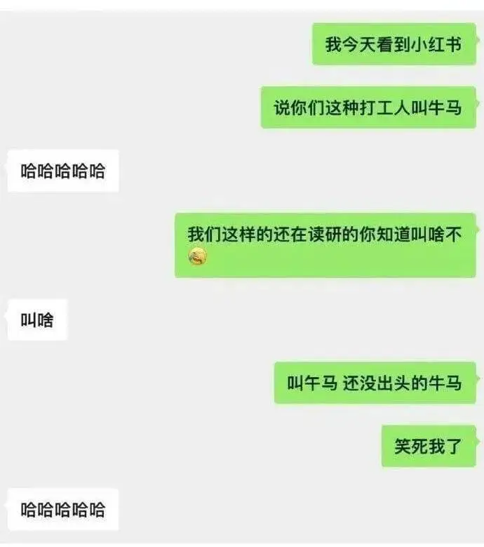 我今天看到小红书说你们这种打工人叫牛马。哈哈哈哈。我们这样的