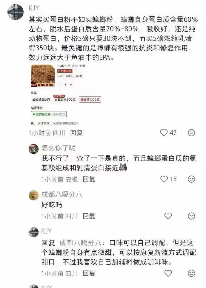 KJY其实买蛋白粉不如买蟑螂粉，蟑螂自身蛋白质含量60%左右