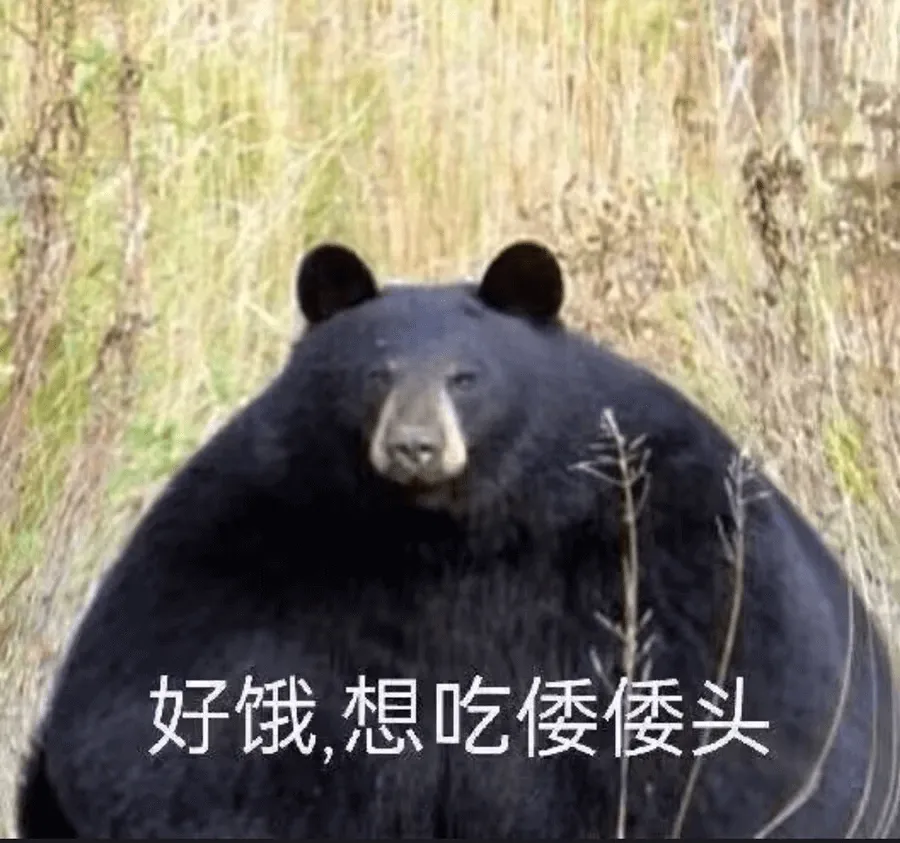 地狱笑话🤣