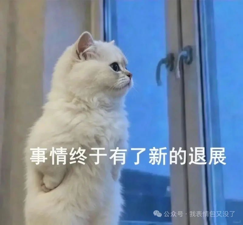 梗图