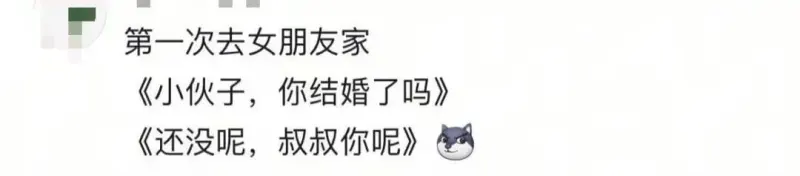 第一次去女朋友家《小伙子，你结婚了吗？》《还没呢，叔叔，你呢