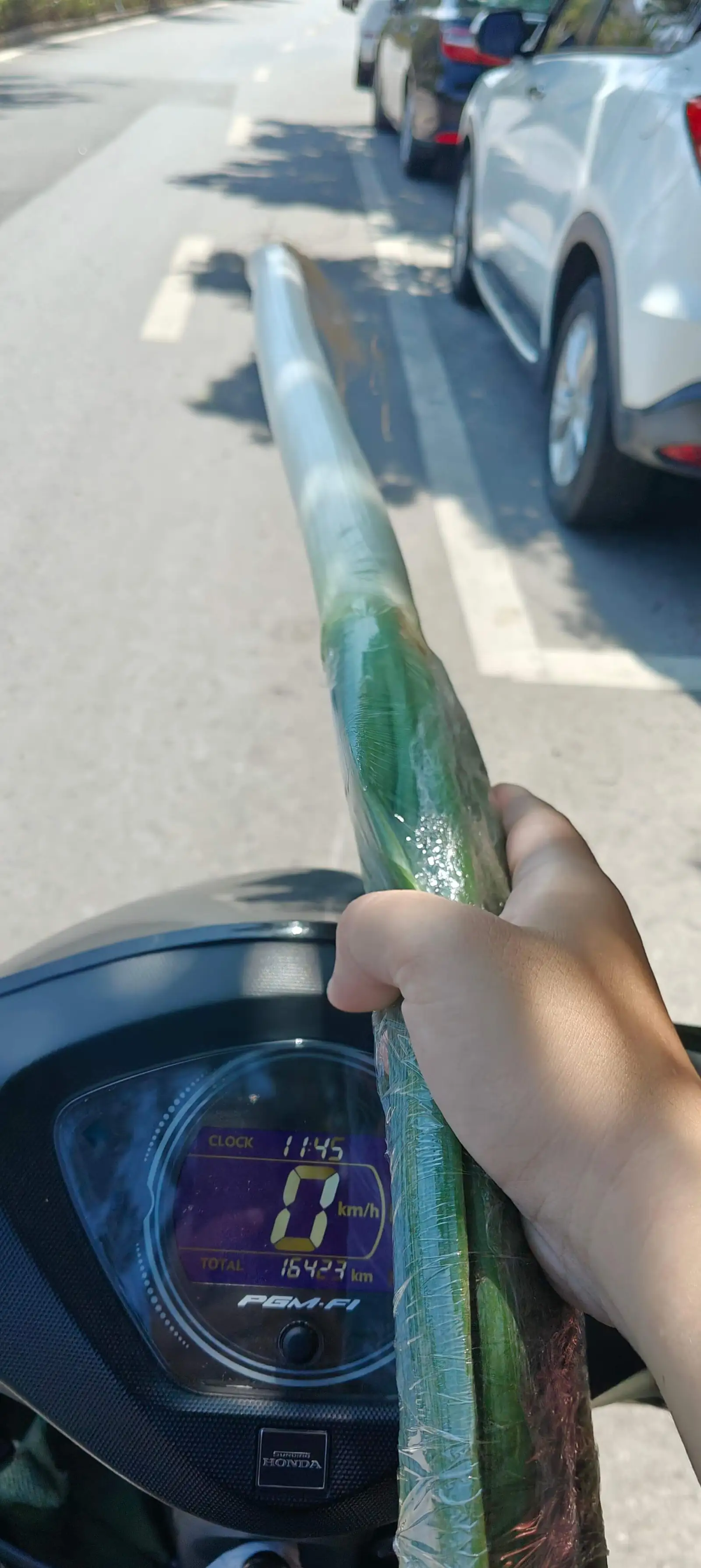 哪个男人能拒绝一根如此笔直的葱