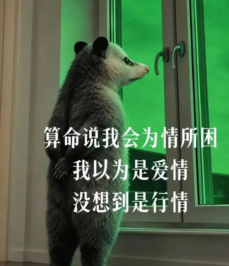 算命说我会为情所困我以为是爱情没想到是行情打工不易，且行且珍