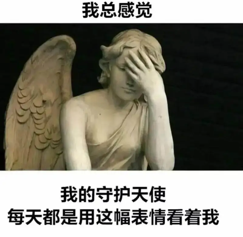 我总感觉我的守护天使每天都是用这幅表情看着我