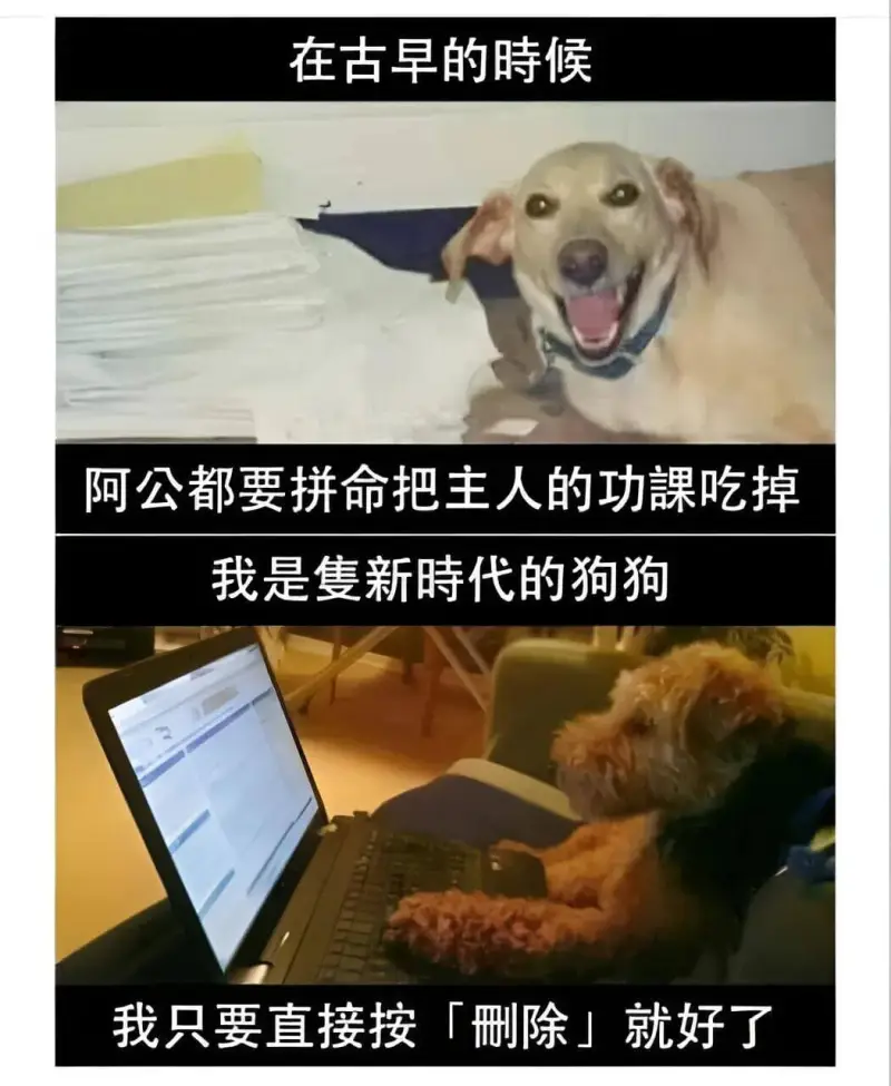梗图
