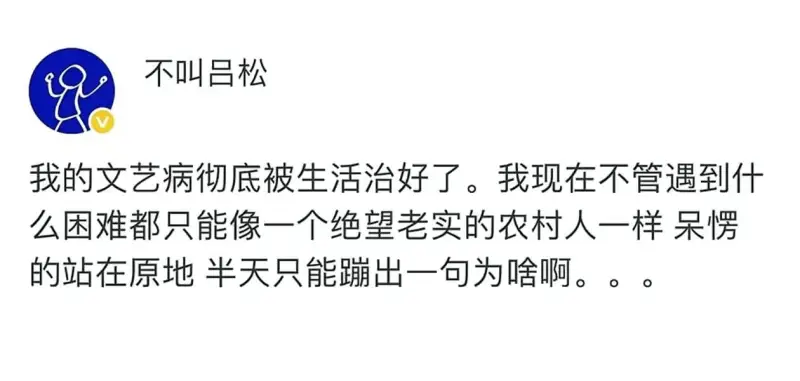 不叫吕松我的文艺病彻底被生活治好了。我现在不管遇到什么困难，
