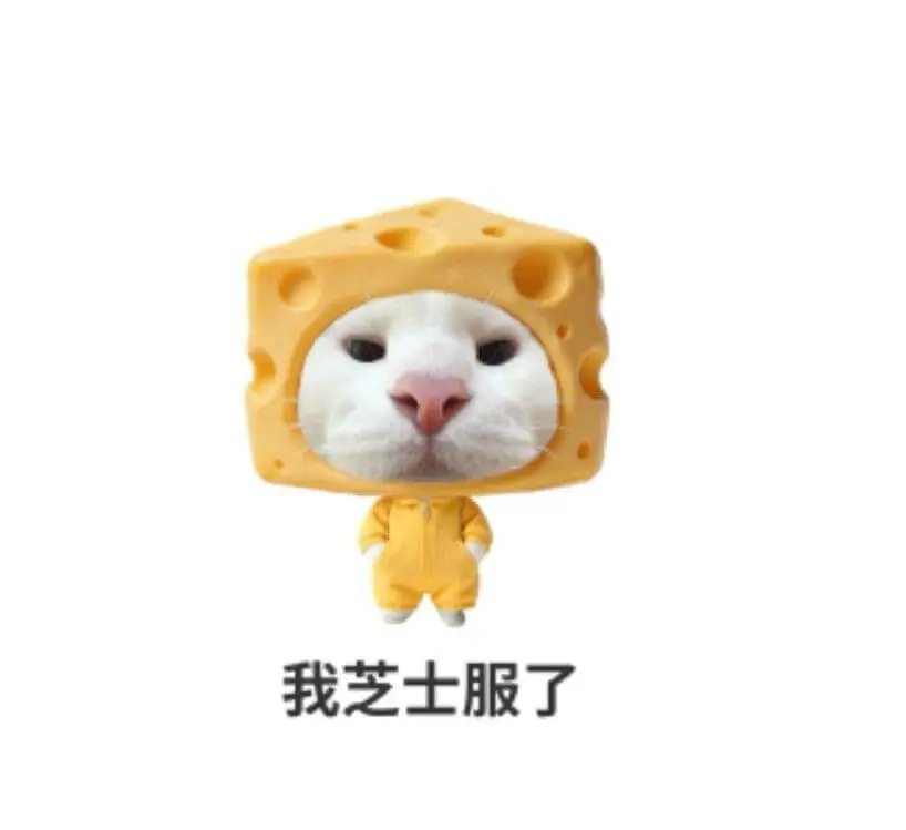 我芝士服了