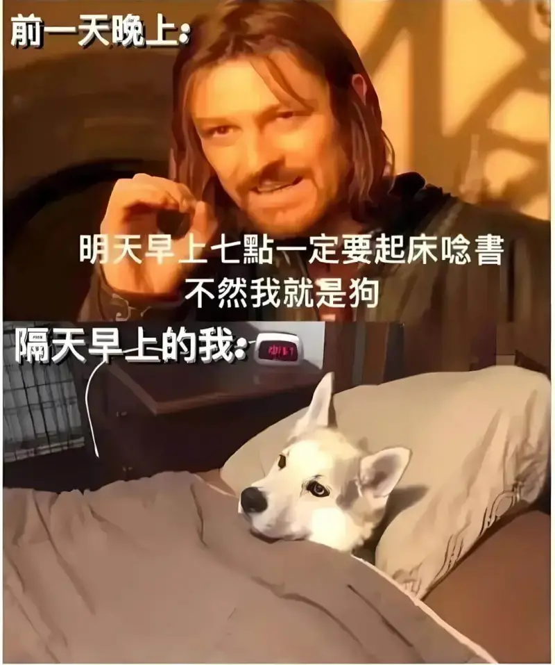 梗图