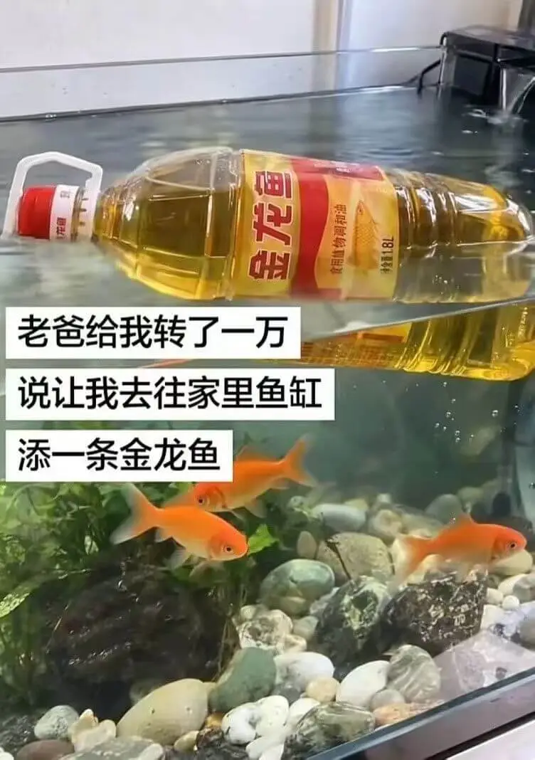 梗图