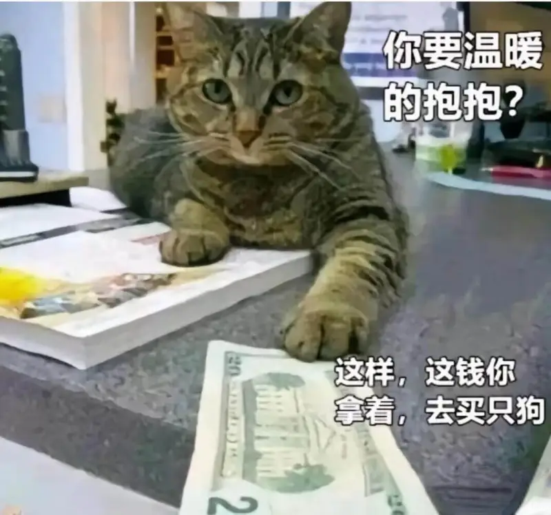 你要温暖的抱抱？这样，这钱你拿着。去买只狗