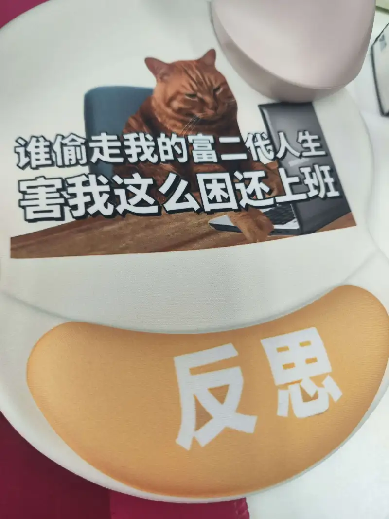谁偷走我的富二代人生？害我这么困还上班！反思。