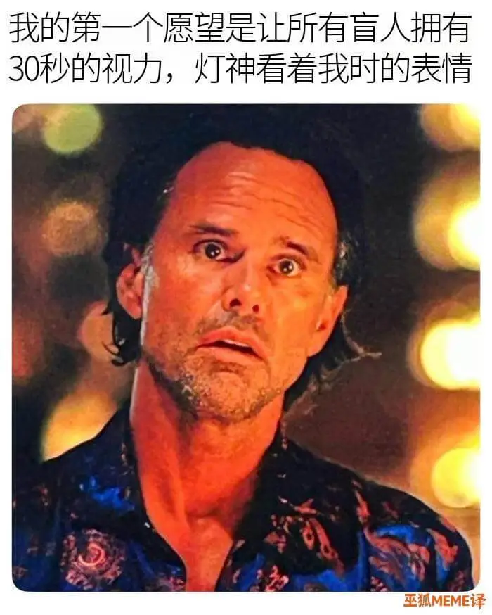 我的第一个愿望是让所有盲人拥有30秒的视力，灯神看着我时的表