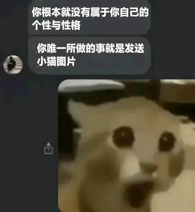 你根本就没有属于你自己的个性与性格你唯一所做的事就是发送小猫
