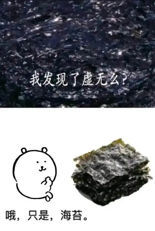 我发现了虚无么？哦，只是，海苔。