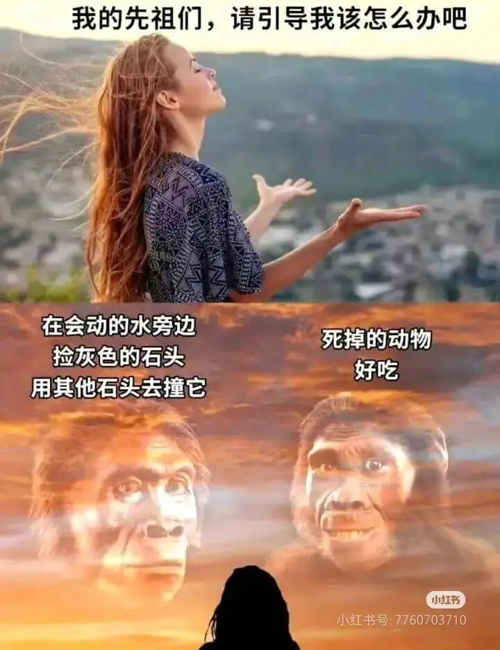 我的先祖们，请引导我该怎么办吧。在会动的水旁边，死掉的动物，