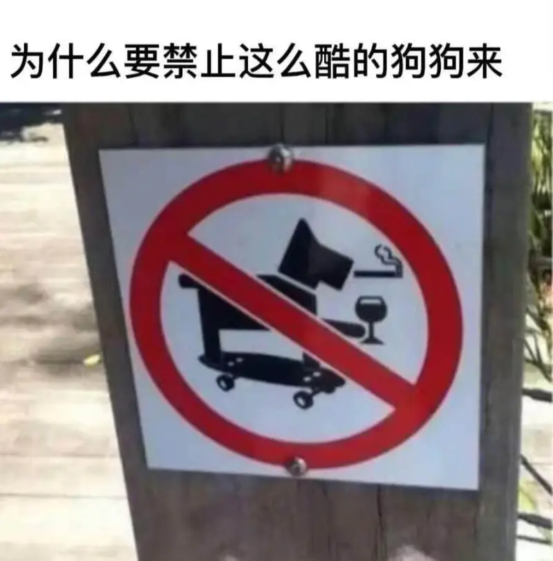 为什么要禁止这么酷的狗狗来