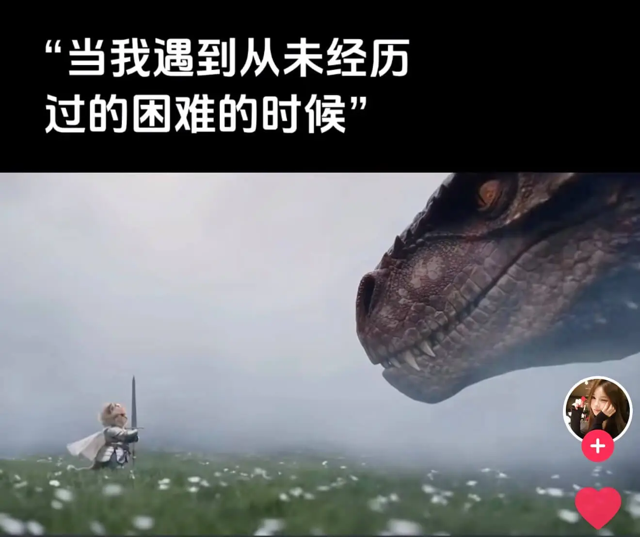这个铠甲猫咪系列太有梗了