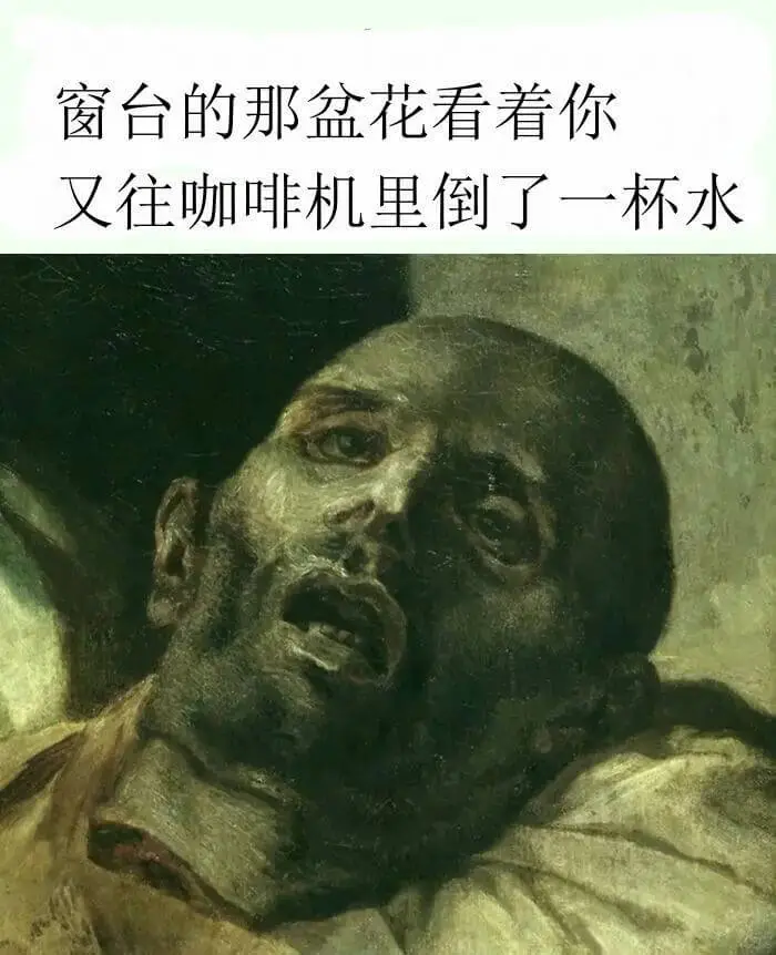 窗台的那盆花看着你又往咖啡机里倒了一杯水