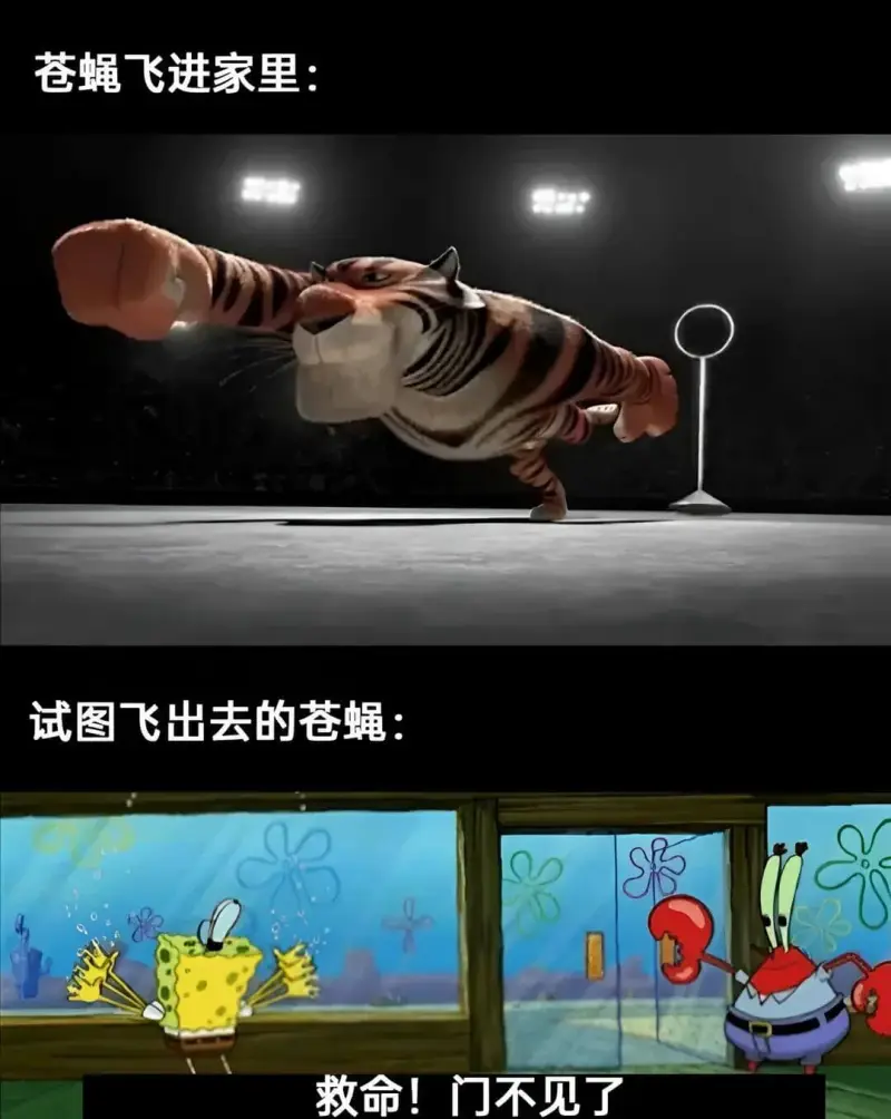 梗图