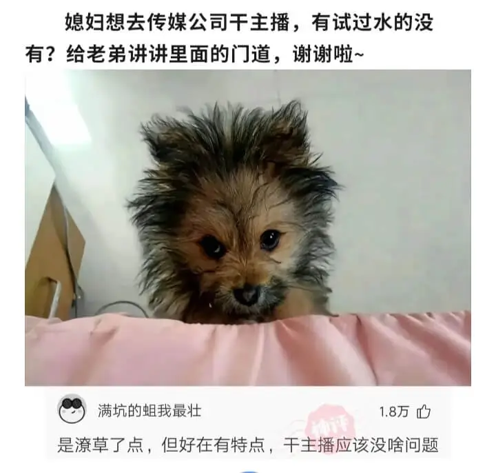 媳妇想去传媒公司干主播，有试过水的没有?给老弟讲讲里面的门道