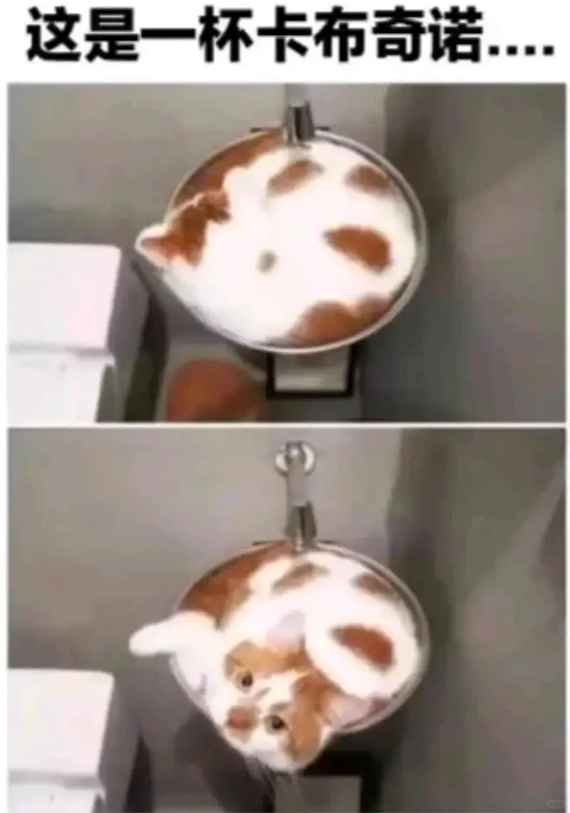 这是一杯卡布奇诺........