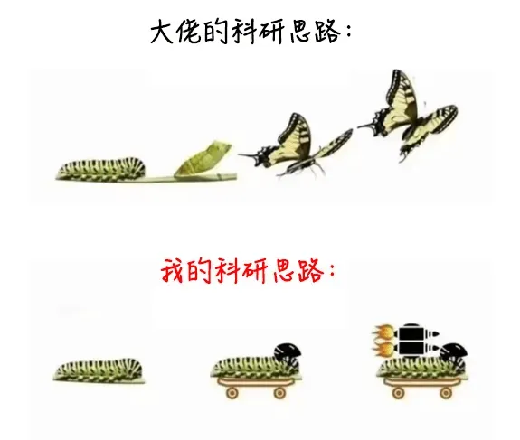 大佬的科研思路：我的科研思路：
