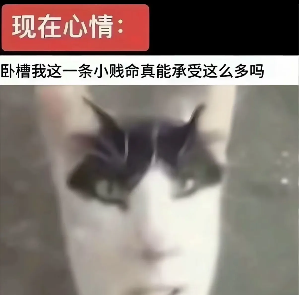 梗图