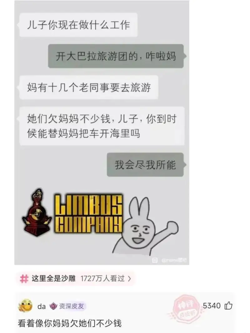 儿子你现在做什么工作？开大巴拉旅游团的，咋啦妈？妈有十几个老