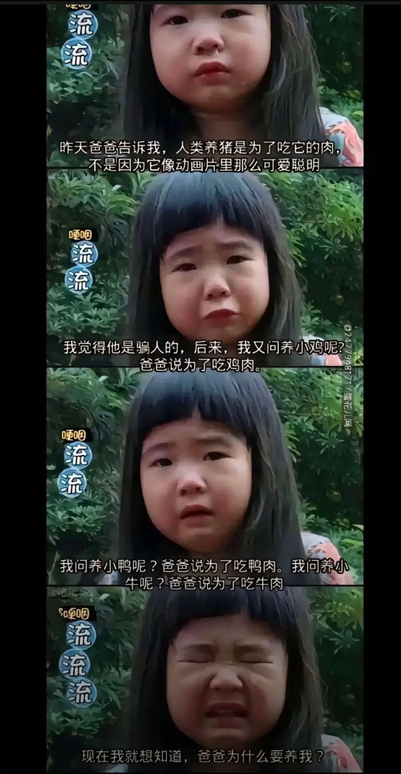 流流昨天爸爸告诉我，人类养猪是为了吃它的肉，不是因为它像动画