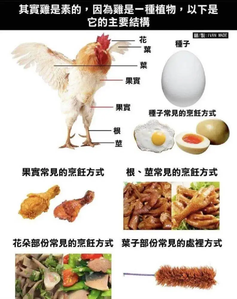 其實難是素的，因為是一種植物，以下是它的主要结横/：IVAN