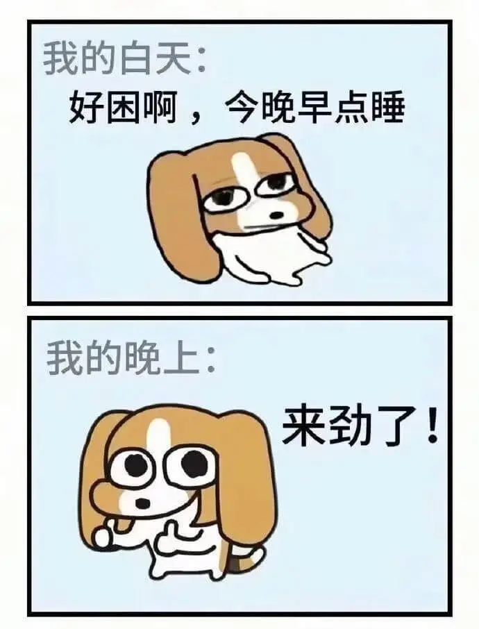 我的白天：好困啊，今晚早点睡。我的晚上：来劲了！