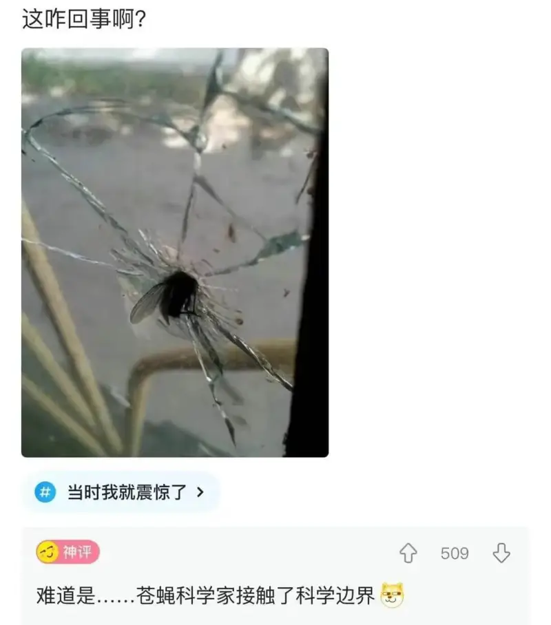 这咋回事啊？当时我就震惊了神评509难道是·.苍蝇科学家接触