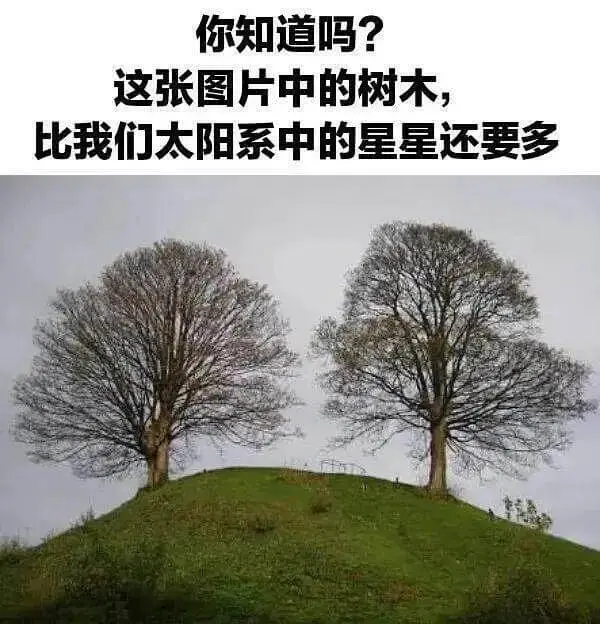 你知道吗?这张图片中的树木比我们太阳系中的星星还要多