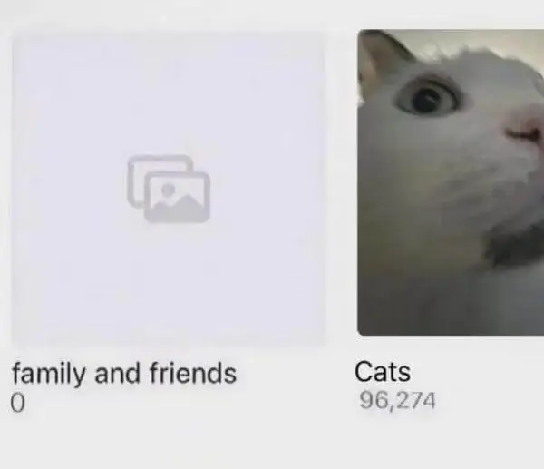 familyandfriendsCats096,274