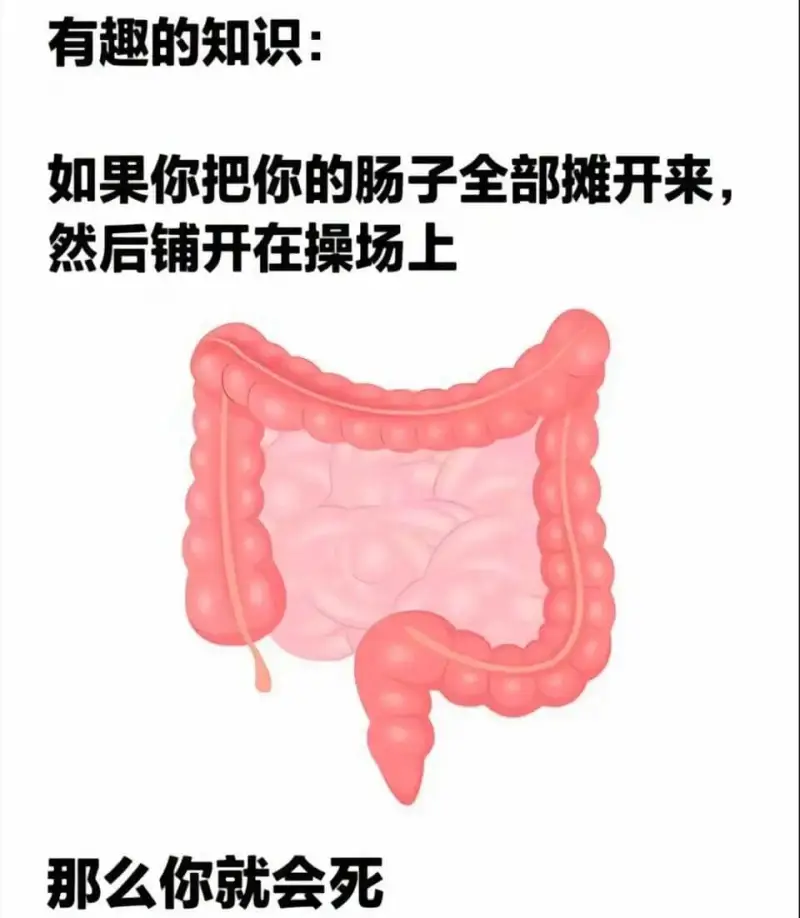 有趣的知识：如果你把你的肠子全部摊开来，然后铺开在操场上，那
