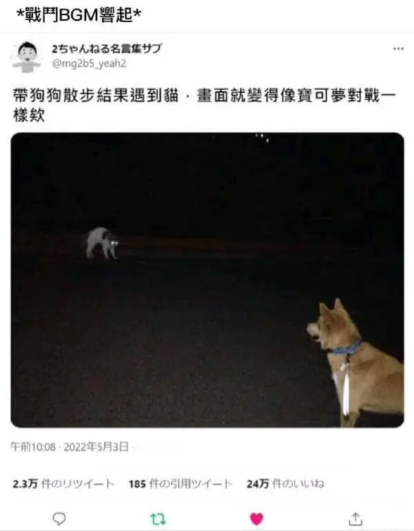 *用BGM警起*2也拍3名需集@mg2b5.yeah2带狗狗