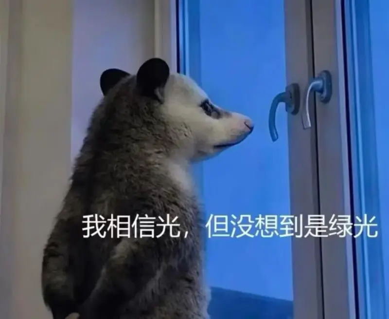 我相信光，但没想到是绿光。
