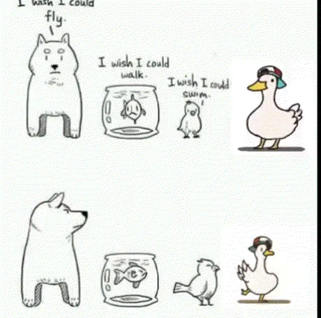 无所不能🦆