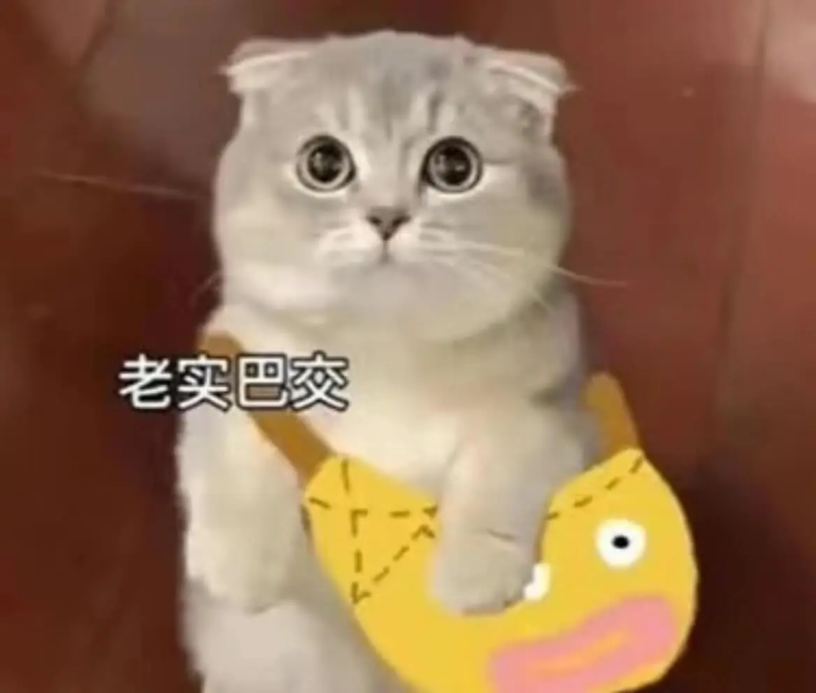 老实巴交