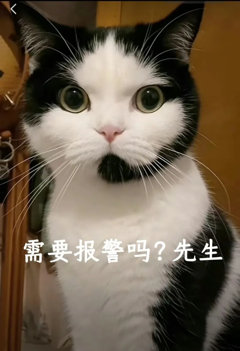需要报警吗？先生